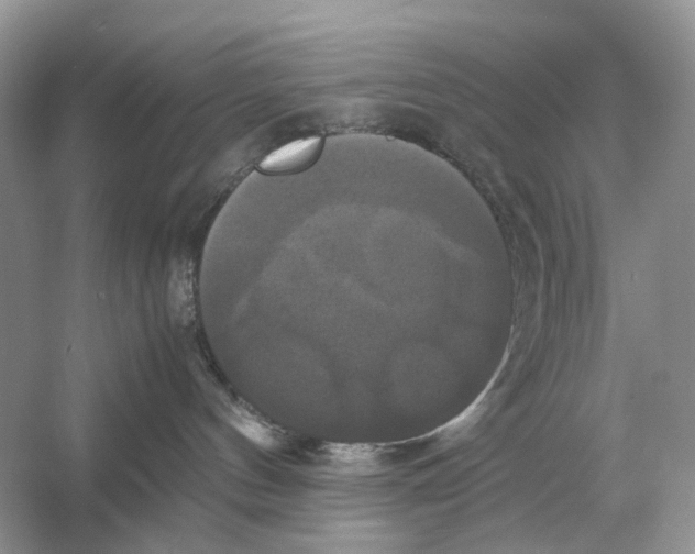 X0000054350144200508190138.png