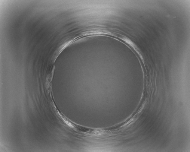 X0000054351385200508190117.png