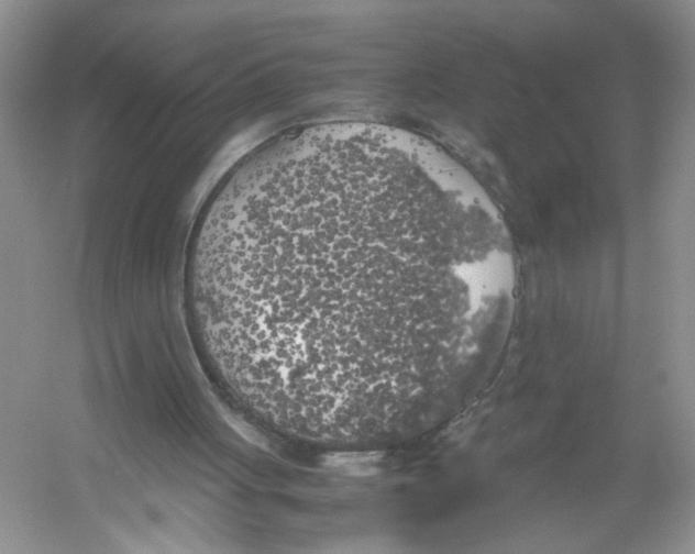X0000054270051200508261927.png