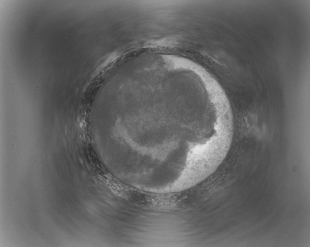 X0000055061254200508161636.png