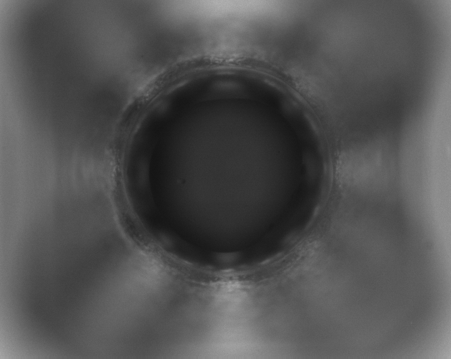 X0000054730448200508171856.png