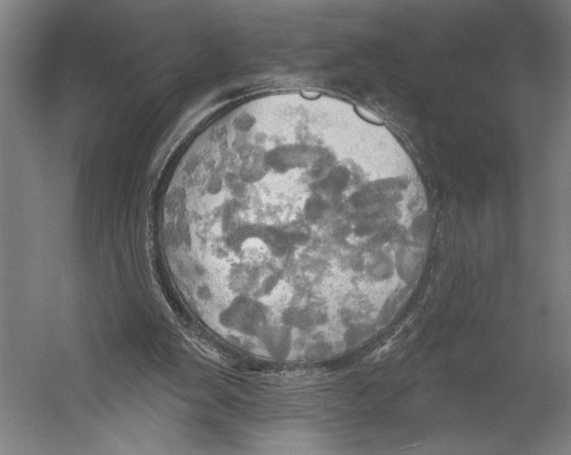 X0000055250103200509071626.png