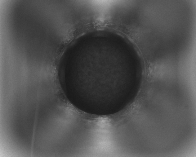 X0000054730659200508171853.png