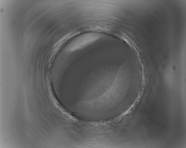 X0000054170193200508101808.png