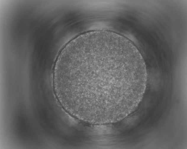 X0000053460807200508112156.png