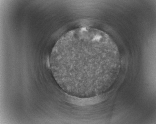 X0000053460046200508112209.png