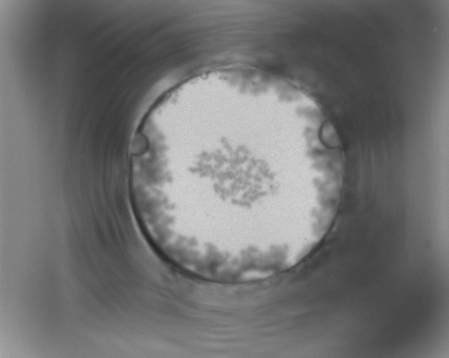 X0000053460003200508112209.png
