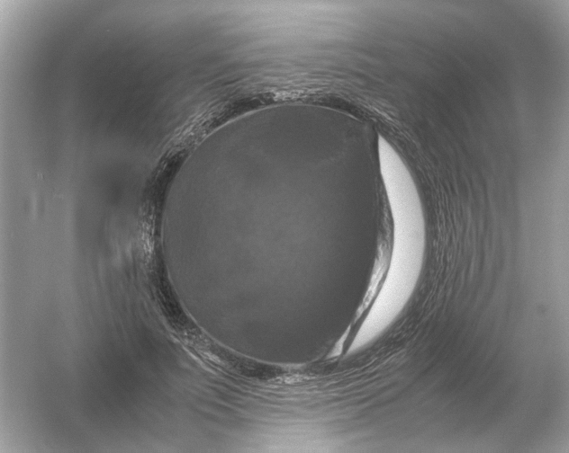 X0000054350691200508190128.png