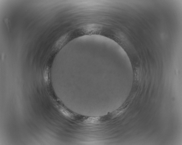 X0000054350138200508190138.png