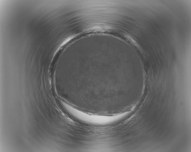 X0000054351018200508190122.png