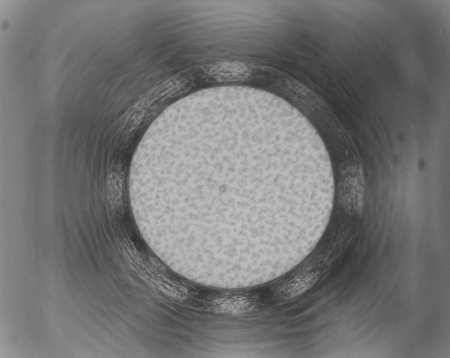 X0000054580604200508300102.png