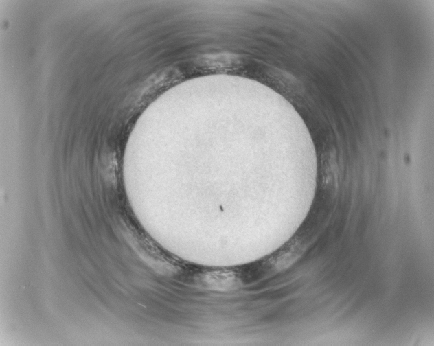 X0000054230279200508171520.png