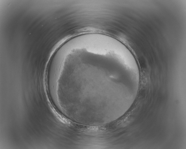 X0000054351098200508190122.png