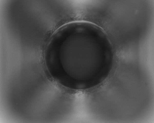 X0000054730416200508171857.png