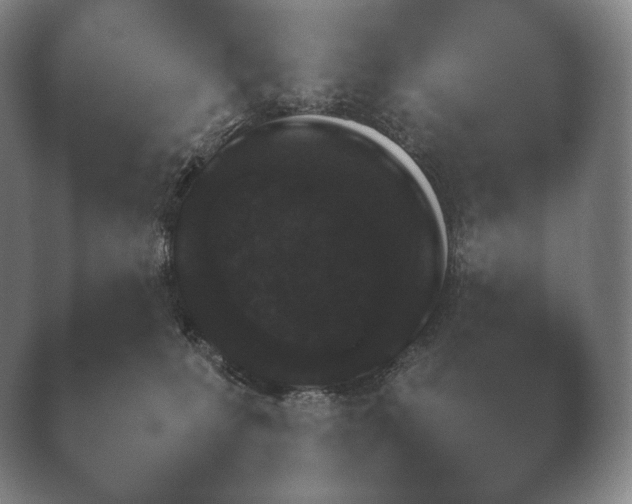 X0000038850231200410131836.png