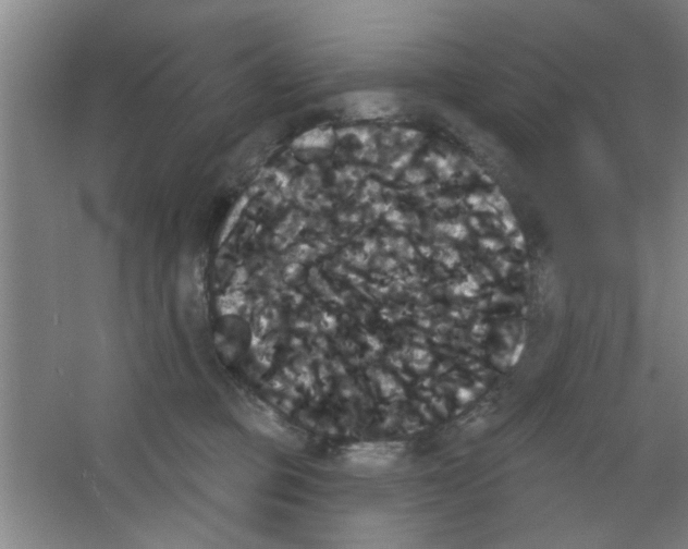 X0000053460373200508112203.png