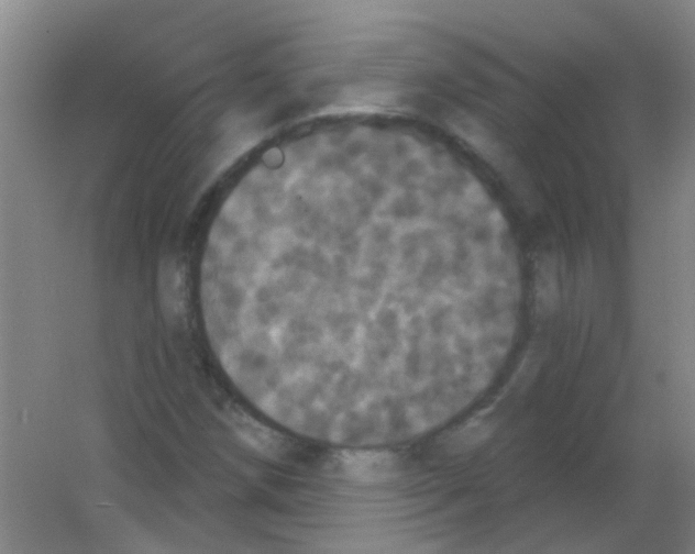 X0000053461258200508112148.png