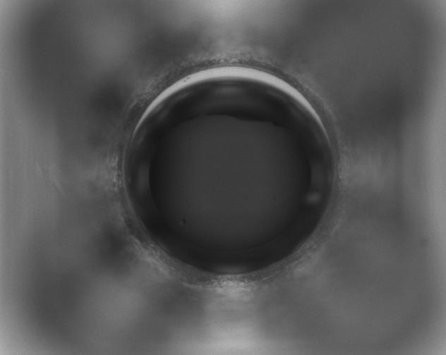 X0000054730585200508171854.png