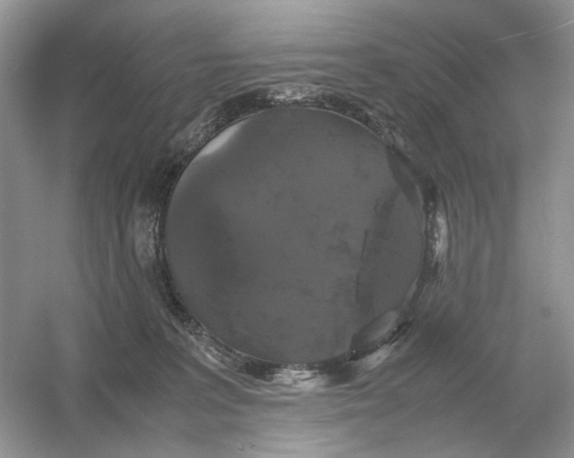 X0000054350227200508190136.png