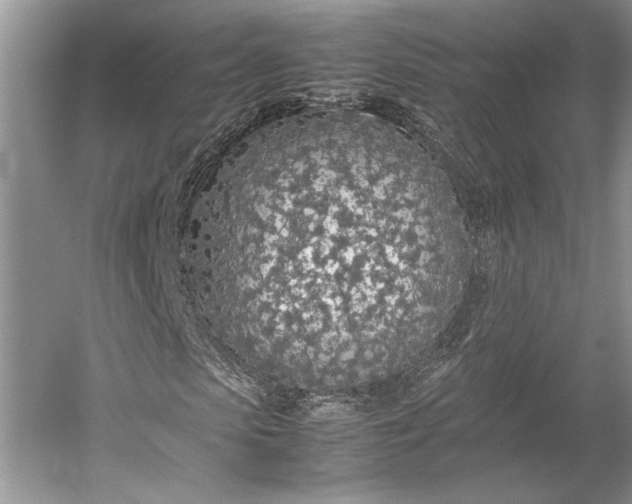 X0000055060913200508161641.png