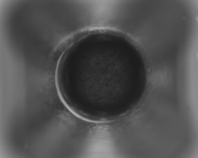 X0000054731351200508171841.png