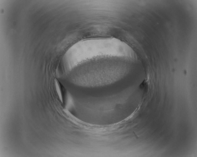 X0000054170045200508101811.png