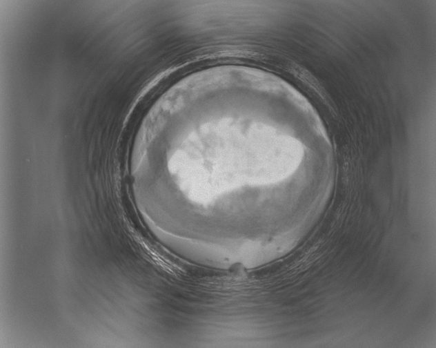X0000055251024200509071610.png