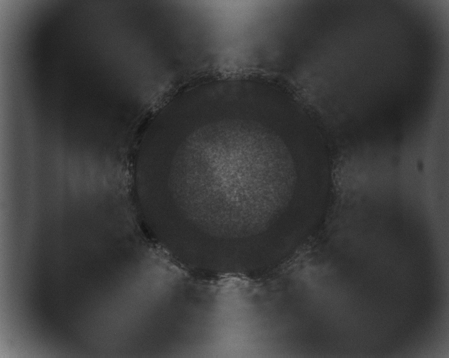 X0000043160716200411300945.png