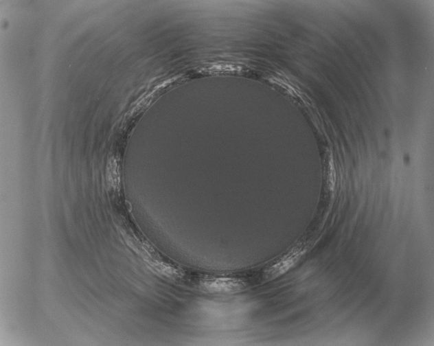 X0000054170467200508101804.png