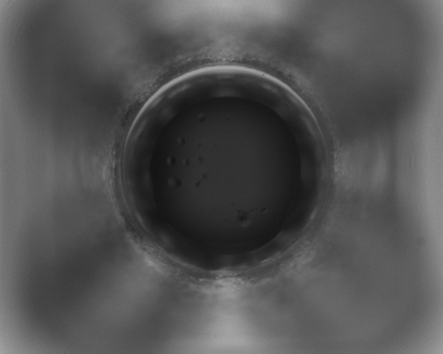 X0000054730493200508171855.png