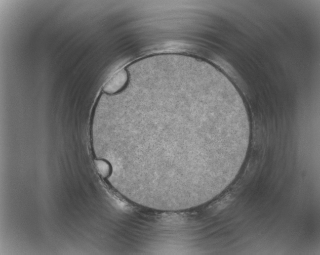X0000053460850200508112155.png
