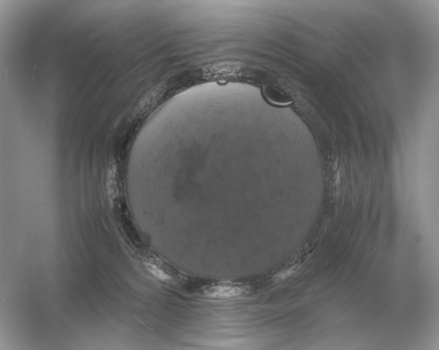 X0000054350224200508190136.png