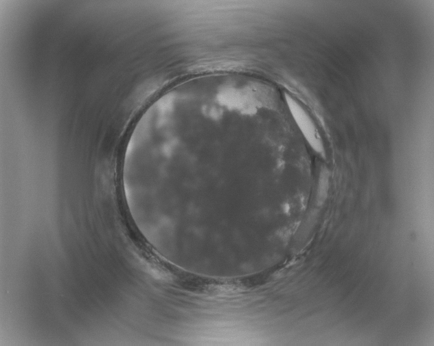 X0000054350107200508190138.png
