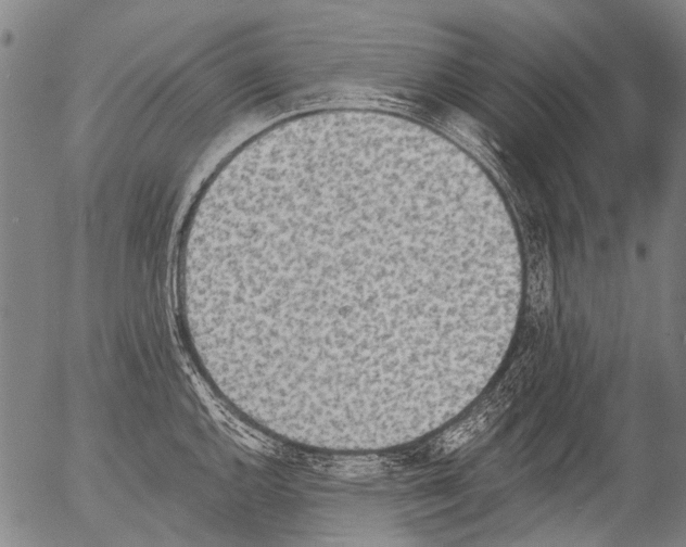 X0000054581144200508300054.png