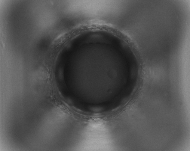 X0000054731112200508171844.png