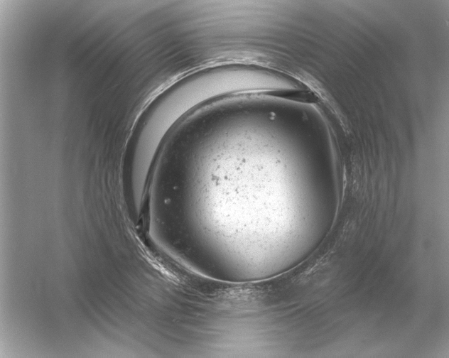 X0000054300834200508042308.png