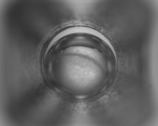 X0000052450295200507211321.png