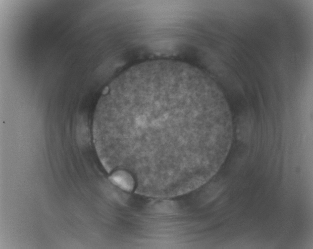 X0000053461298200508112146.png