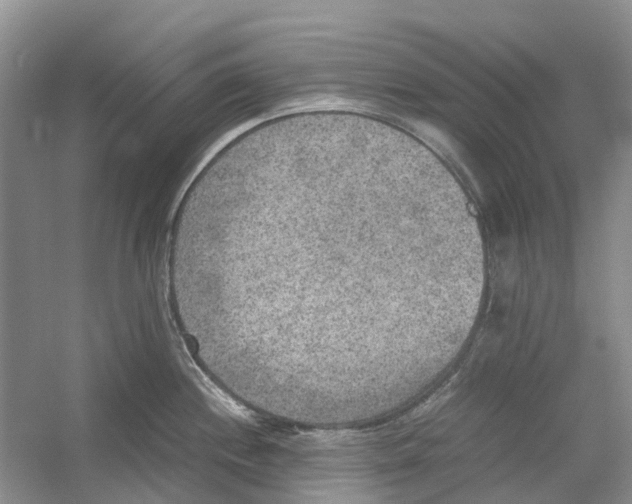 X0000054271244200508261907.png