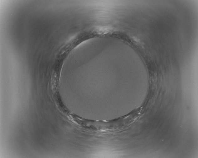 X0000054351349200508190117.png
