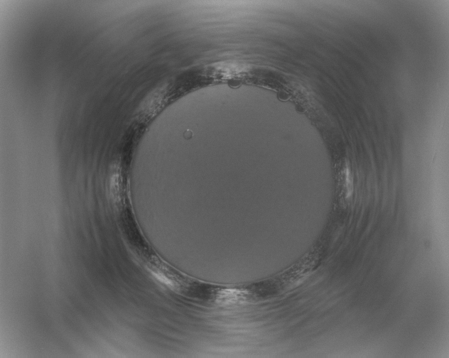 X0000054350222200508190136.png