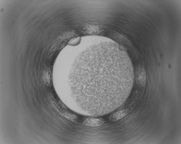 X0000054580607200508300102.png