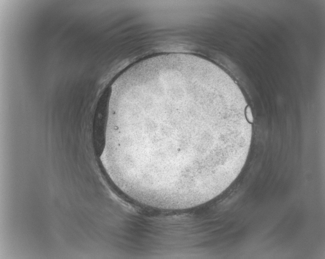 X0000054270433200508261920.png