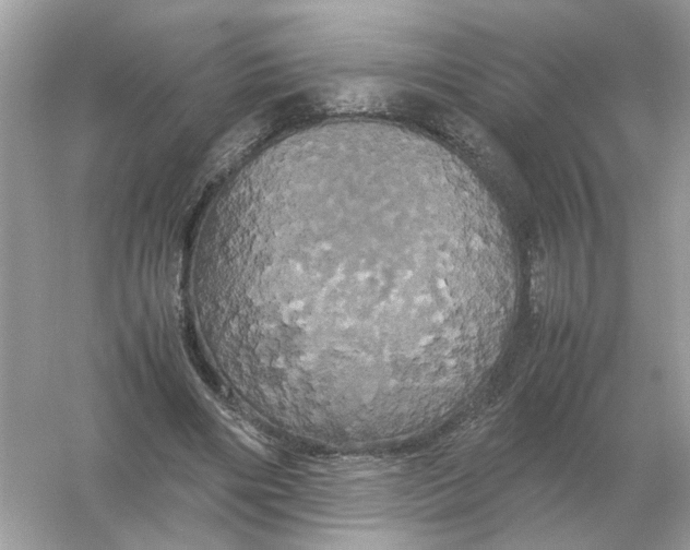 X0000054350490200508190132.png