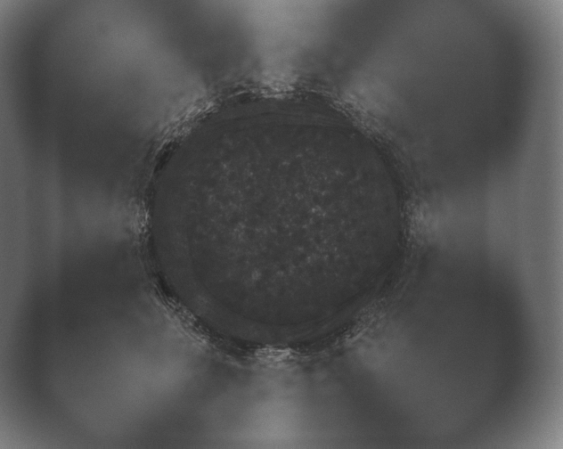 X0000038850711200410131828.png