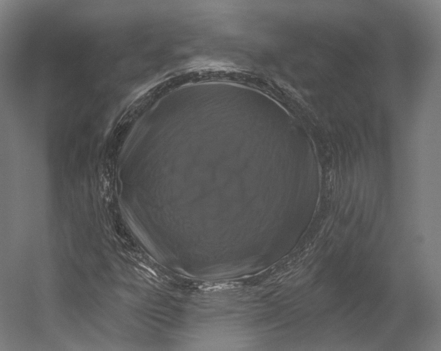 X0000055211303200508301311.png