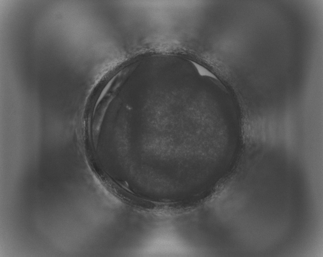 X0000038850630200410131829.png
