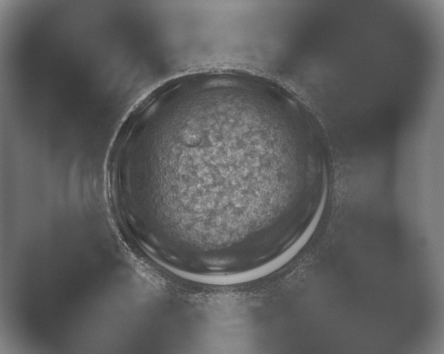 X0000052281031200507132023.png