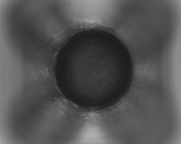 X0000054731109200508171844.png