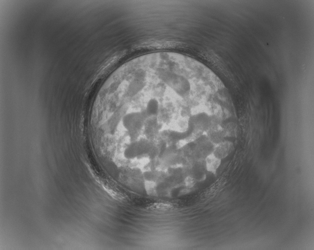 X0000055250159200509071624.png